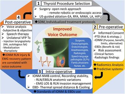 Editorial: Improving voice outcomes after thyroid surgery and ultrasound-guided ablation procedures